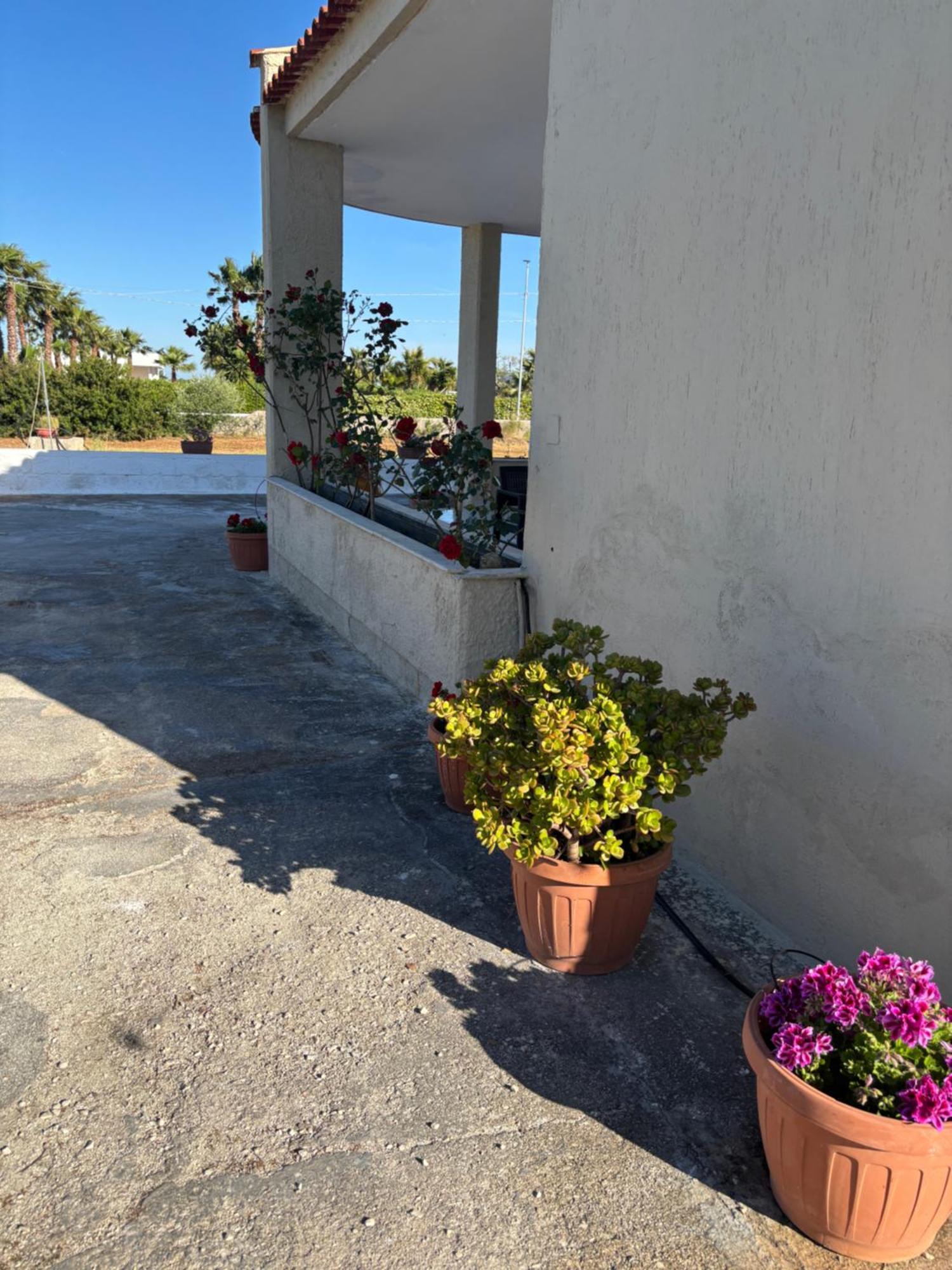 Villa Lilly'S House Torre Santa Sabina Exterior foto